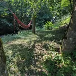 T3 A Acces Au Ruisseau -terrasse Апартаменты *
